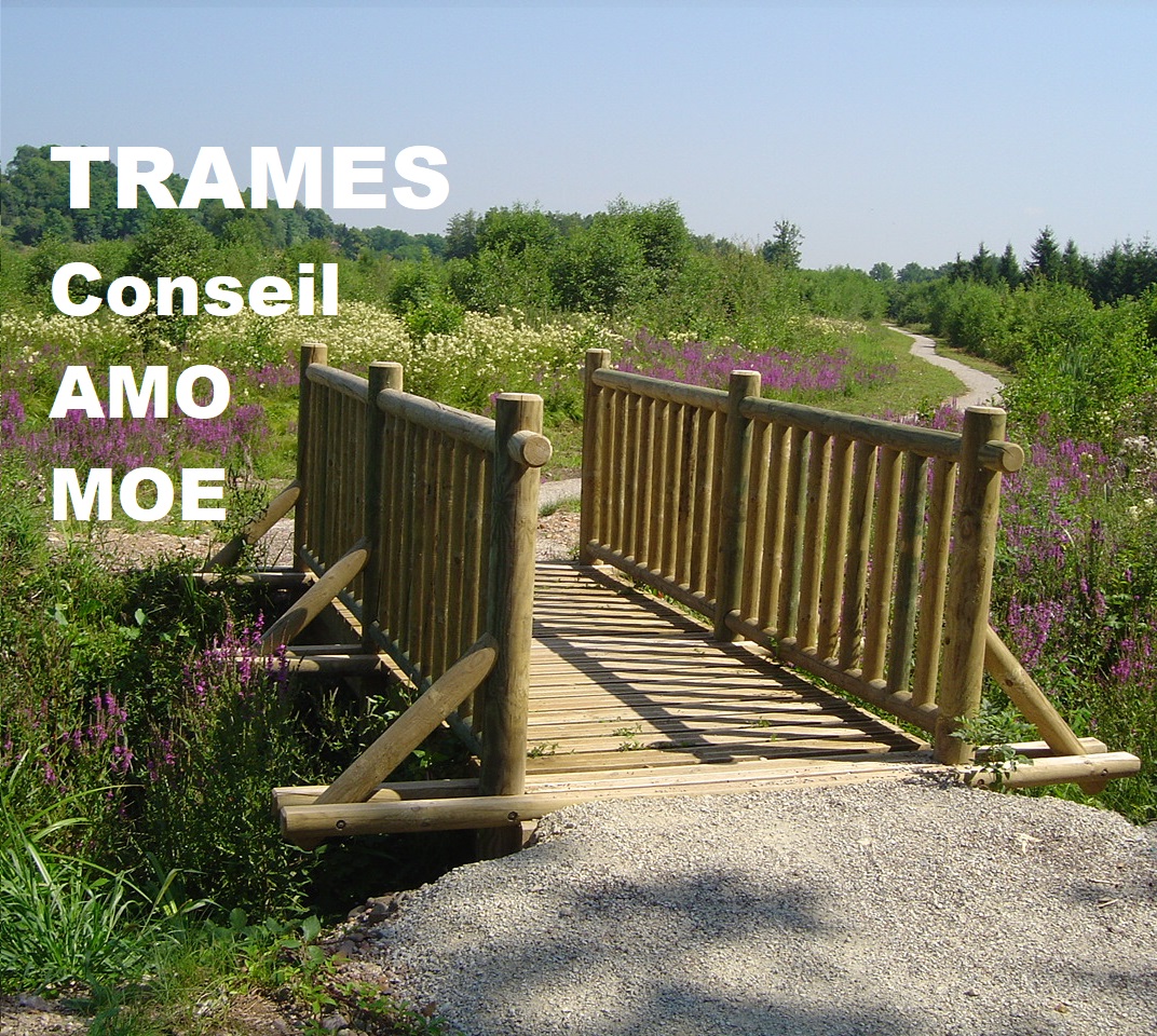 passerelle en rondins