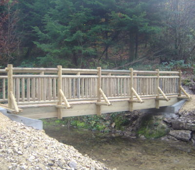 passerelle en rondins et ossature métallique