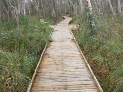 platelage sur pieux pour marais